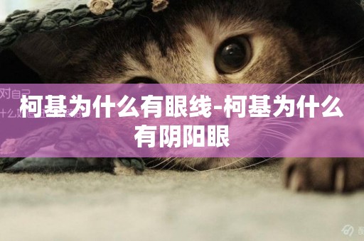 柯基為什么有眼線-柯基為什么有陰陽眼