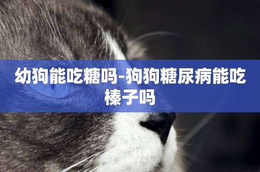 幼狗能吃糖嗎-狗狗糖尿病能吃榛子嗎
