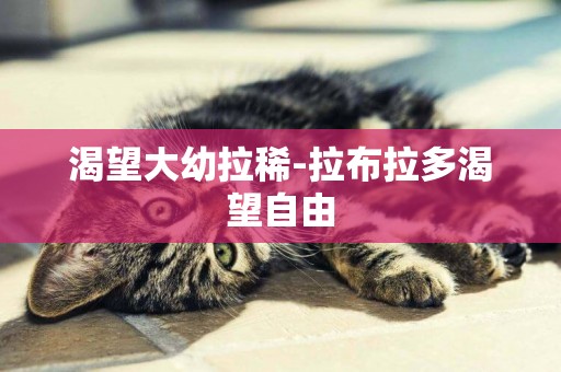 渴望大幼拉稀-拉布拉多渴望自由