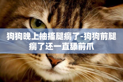 狗狗晚上抽搐腿瘸了-狗狗前腿瘸了還一直舔前爪