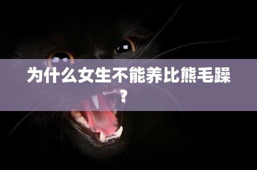為什么女生不能養比熊毛躁？ 