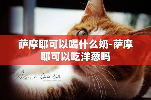 薩摩耶可以喝什么奶-薩摩耶可以吃洋蔥嗎