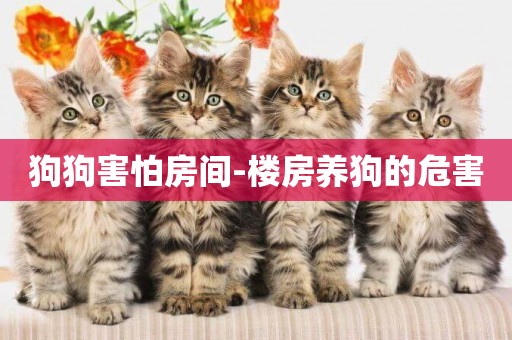 狗狗害怕房間-樓房養狗的危害