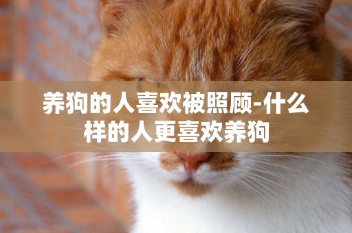 養狗的人喜歡被照顧-什么樣的人更喜歡養狗