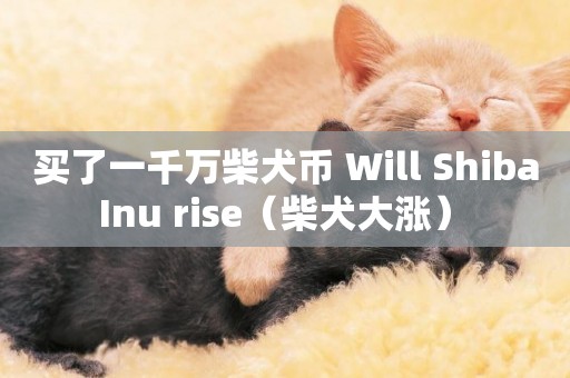 買了一千萬柴犬幣 Will Shiba Inu rise（柴犬大漲） 