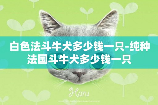 白色法斗牛犬多少錢一只-純種法國斗牛犬多少錢一只