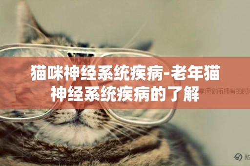 貓咪神經系統疾病-老年貓神經系統疾病的了解