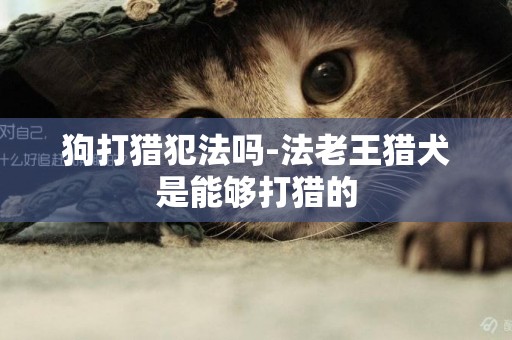 狗打獵犯法嗎-法老王獵犬是能夠打獵的