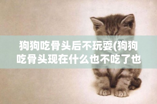 狗狗吃骨頭后不玩耍(狗狗吃骨頭現在什么也不吃了也不動了)
