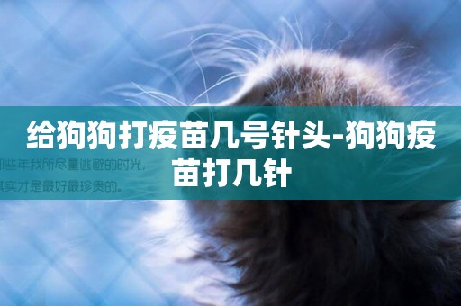 給狗狗打疫苗幾號針頭-狗狗疫苗打幾針
