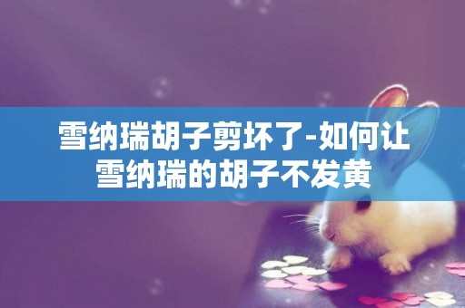 雪納瑞胡子剪壞了-如何讓雪納瑞的胡子不發黃