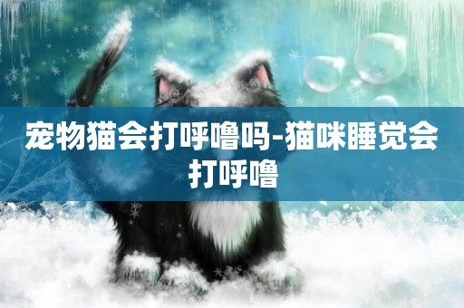 寵物貓會打呼嚕嗎-貓咪睡覺會打呼嚕