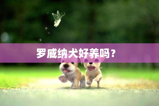羅威納犬好養嗎？ 