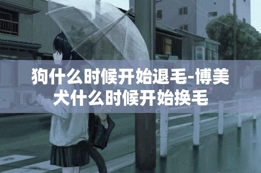 狗什么時候開始退毛-博美犬什么時候開始換毛