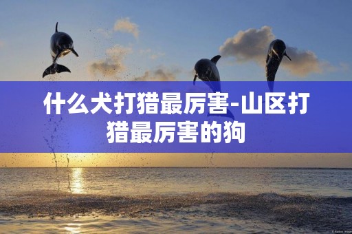 什么犬打獵最厲害-山區打獵最厲害的狗