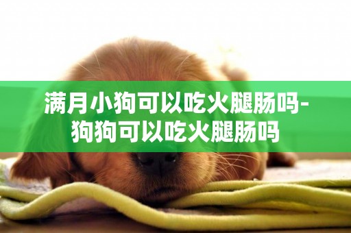 滿月小狗可以吃火腿腸嗎-狗狗可以吃火腿腸嗎