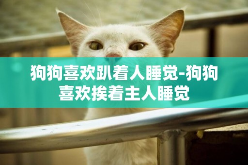 狗狗喜歡趴著人睡覺-狗狗喜歡挨著主人睡覺