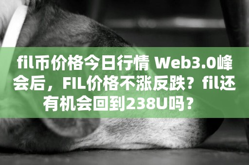 fil幣價格今日行情 Web3.0峰會后，FIL價格不漲反跌？fil還有機會回到238U嗎？ 