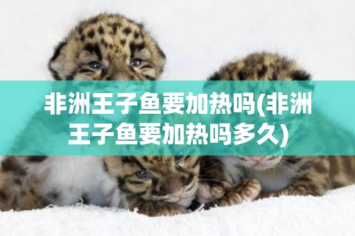 非洲王子魚要加熱嗎(非洲王子魚要加熱嗎多久)