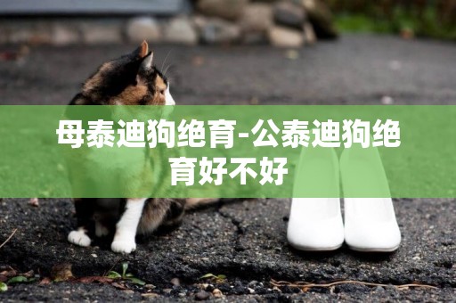 母泰迪狗絕育-公泰迪狗絕育好不好