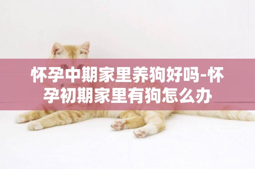 懷孕中期家里養狗好嗎-懷孕初期家里有狗怎么辦