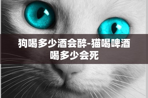 狗喝多少酒會醉-貓喝啤酒喝多少會死