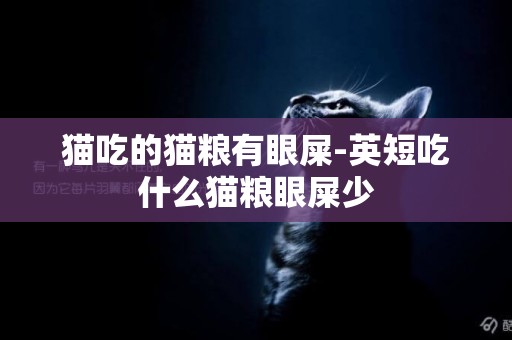 貓吃的貓糧有眼屎-英短吃什么貓糧眼屎少