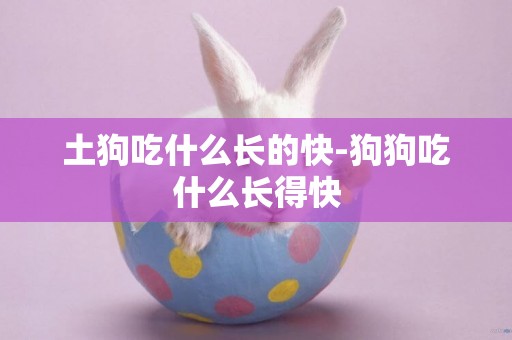 土狗吃什么長的快-狗狗吃什么長得快