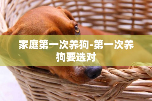 家庭第一次養狗-第一次養狗要選對