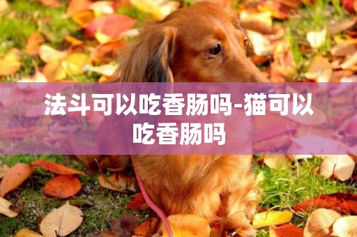 法斗可以吃香腸嗎-貓可以吃香腸嗎