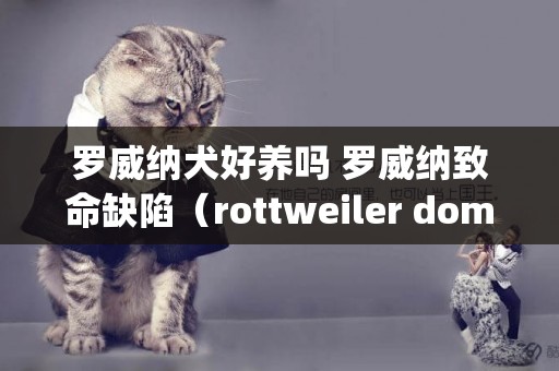 羅威納犬好養嗎 羅威納致命缺陷（rottweiler domestic dangers） 