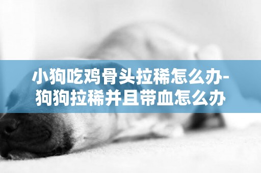 小狗吃雞骨頭拉稀怎么辦-狗狗拉稀并且帶血怎么辦