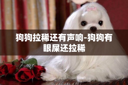 狗狗拉稀還有聲響-狗狗有眼屎還拉稀
