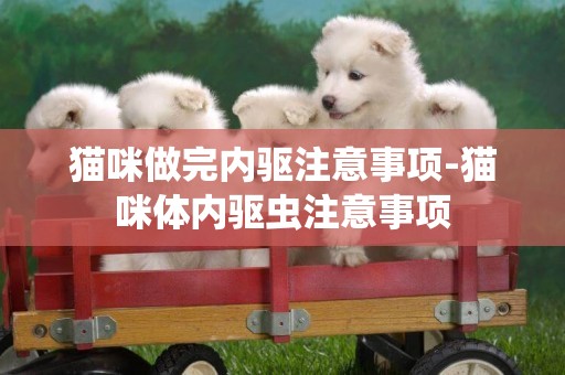 貓咪做完內驅注意事項-貓咪體內驅蟲注意事項