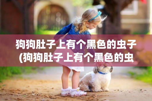 狗狗肚子上有個黑色的蟲子(狗狗肚子上有個黑色的蟲子是什么)