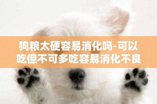 狗糧太硬容易消化嗎-可以吃但不可多吃容易消化不良