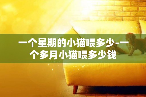 一個星期的小貓喂多少-一個多月小貓喂多少錢