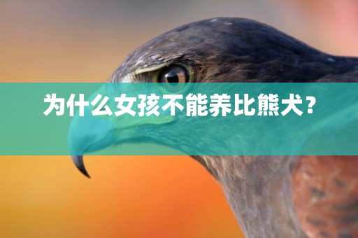 為什么女孩不能養比熊犬？ 