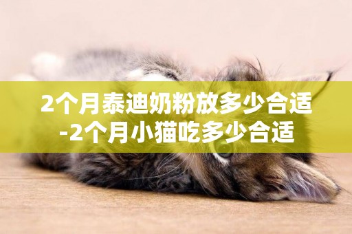 2個月泰迪奶粉放多少合適-2個月小貓吃多少合適