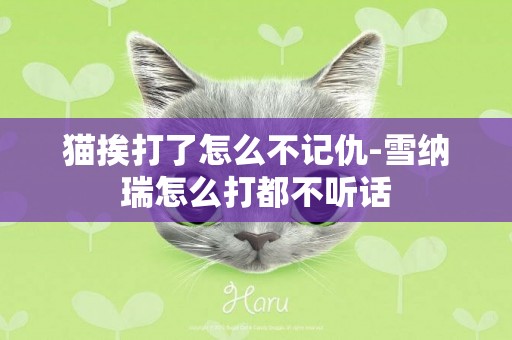 貓挨打了怎么不記仇-雪納瑞怎么打都不聽話