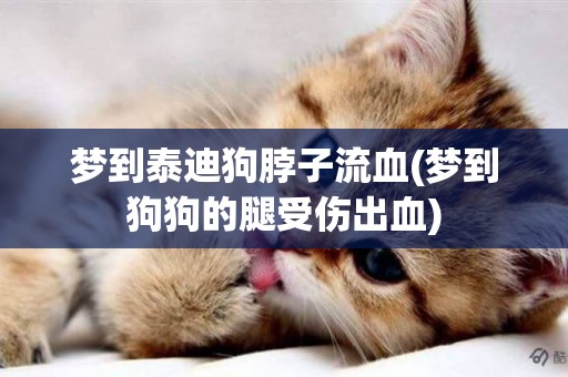 夢到泰迪狗脖子流血(夢到狗狗的腿受傷出血)