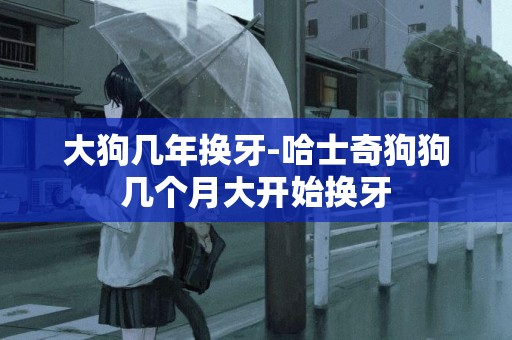 大狗幾年換牙-哈士奇狗狗幾個月大開始換牙