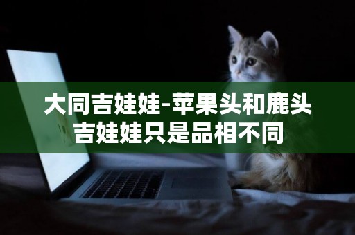 大同吉娃娃-蘋果頭和鹿頭吉娃娃只是品相不同