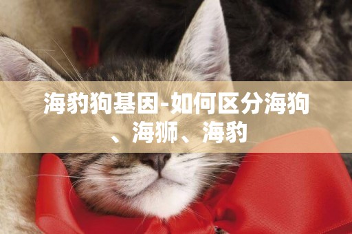 海豹狗基因-如何區分海狗、海獅、海豹