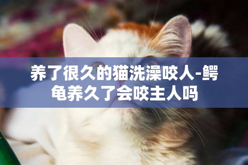 養了很久的貓洗澡咬人-鱷龜養久了會咬主人嗎