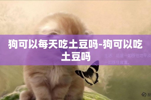 狗可以每天吃土豆嗎-狗可以吃土豆嗎
