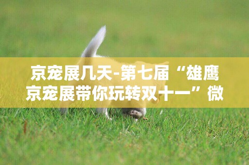 京寵展幾天-第七屆“雄鷹京寵展帶你玩轉雙十一”微博活動開始啦