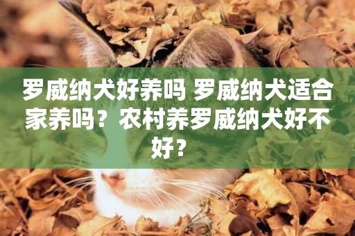 羅威納犬好養嗎 羅威納犬適合家養嗎？農村養羅威納犬好不好？ 