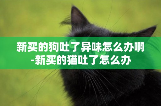 新買的狗吐了異味怎么辦啊-新買的貓吐了怎么辦