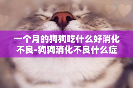 一個月的狗狗吃什么好消化不良-狗狗消化不良什么癥狀
